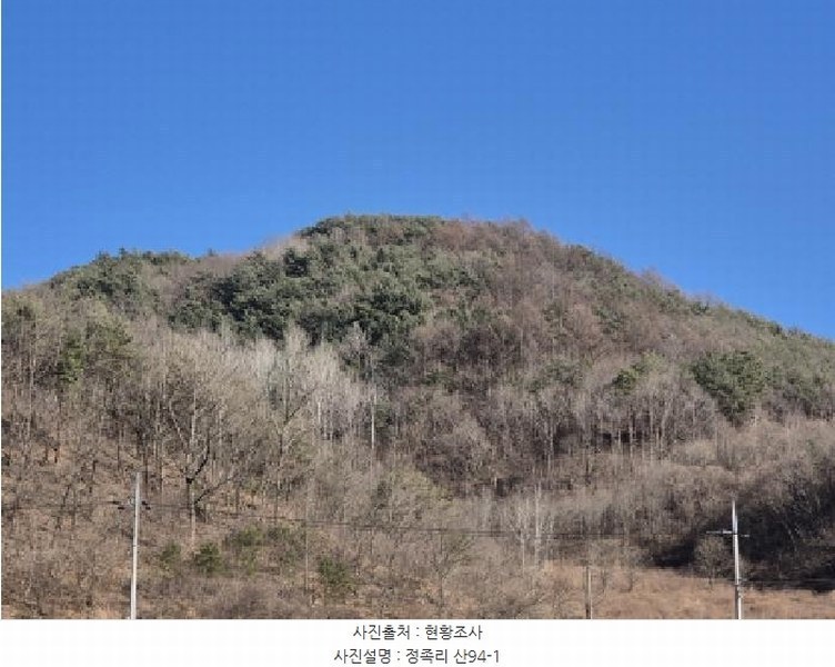 2025타경10164 경상북도 영양군 청기면 정족리 산94-1 임야 경매 이미지