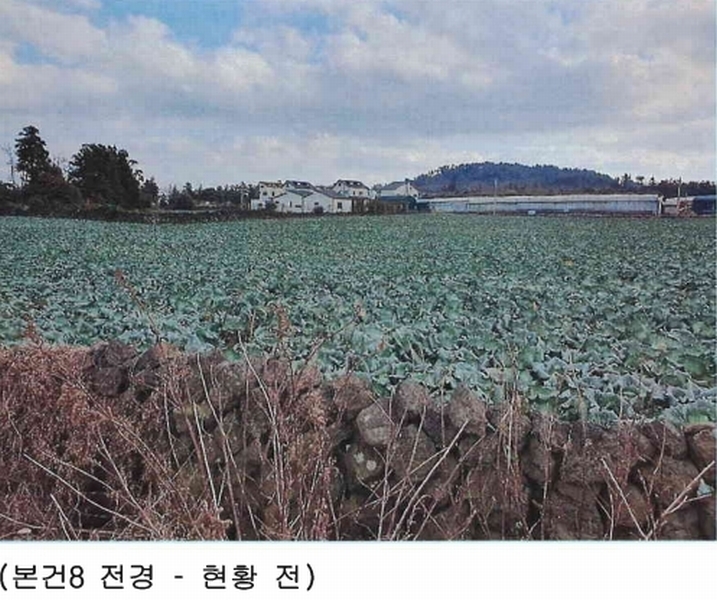 2024타경14192 제주특별자치도 제주시 한경면 낙천리 412-3 농지 경매 이미지
