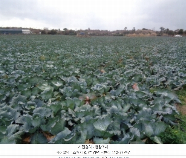 2024타경14192 제주특별자치도 제주시 한경면 낙천리 412-3 농지 경매 이미지