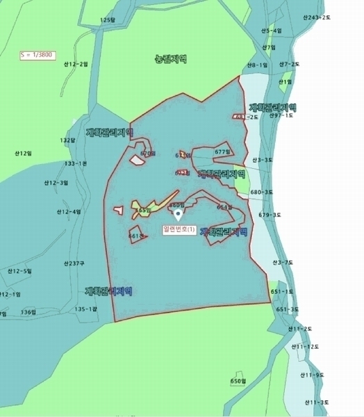 2025타경10194 경상북도 울진군 기성면 망양리 산3-1 임야 경매 이미지