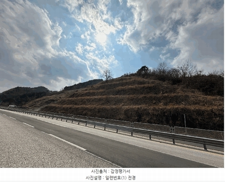 2025타경10194 경상북도 울진군 기성면 망양리 산3-1 임야 경매 이미지