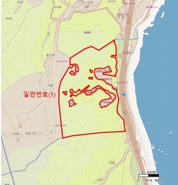 2025타경10194 경상북도 울진군 기성면 망양리 산3-1 임야 경매 이미지