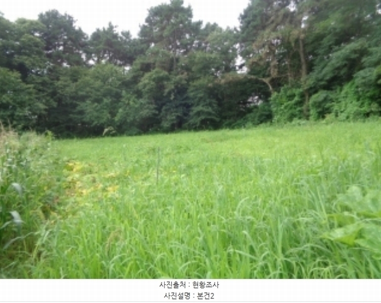 2024타경57336 충청북도 청주시 청원구 내수읍 은곡리 281-5 농지 경매 이미지