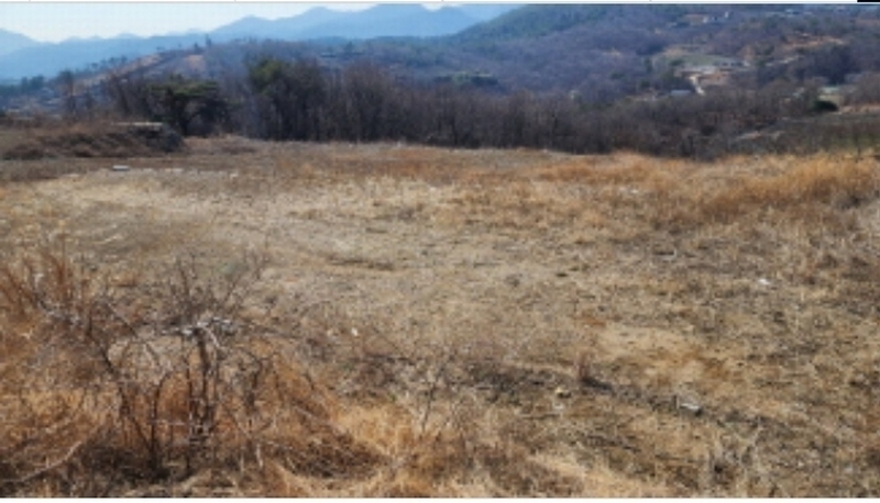 2024타경1035 울산광역시 울주군 서생면 화산리 285-2 농지 경매 이미지