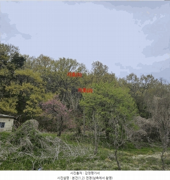 2025타경11572 울산광역시 울주군 웅촌면 곡천리 산22-8 임야 경매 이미지