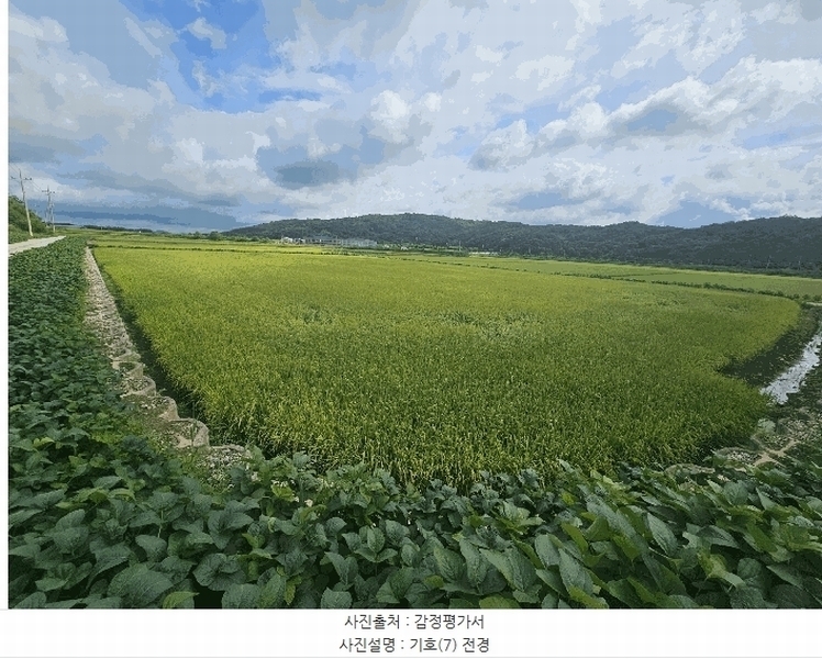 2025타경3213 강원특별자치도 철원군 철원읍 중리 394 농지 경매 이미지