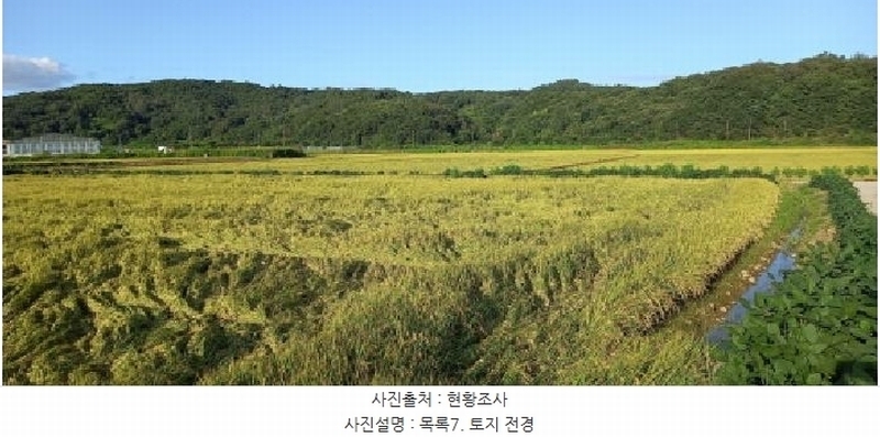 2025타경3213 강원특별자치도 철원군 철원읍 중리 394 농지 경매 이미지