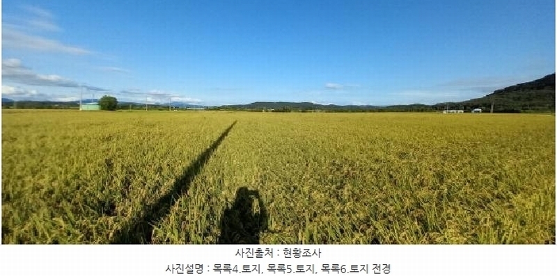 2025타경3213 강원특별자치도 철원군 철원읍 사요리 656 농지 경매 이미지