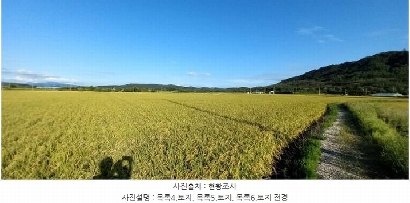 2025타경3213 강원특별자치도 철원군 철원읍 사요리 656 농지 경매 이미지