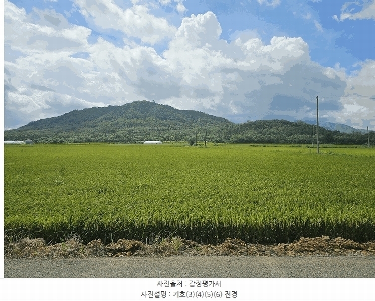2025타경3213 강원특별자치도 철원군 철원읍 사요리 656 농지 경매 이미지