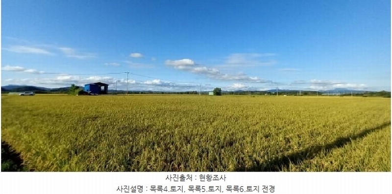 2025타경3213 강원특별자치도 철원군 철원읍 사요리 656 농지 경매 이미지