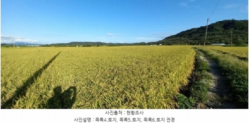 2025타경3213 강원특별자치도 철원군 철원읍 사요리 656 농지 경매 이미지