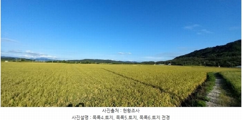 2025타경3213 강원특별자치도 철원군 철원읍 사요리 656 농지 경매 이미지