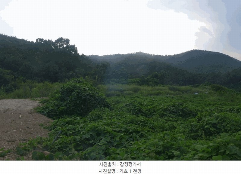 2025타경10556 경상북도 경주시 양남면 환서리 산207 임야 경매 이미지