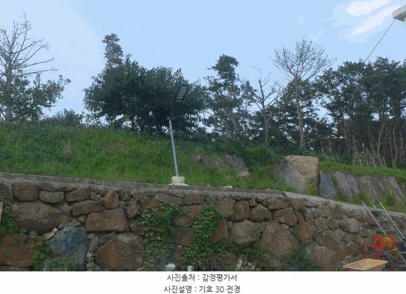 2025타경10556 경상북도 경주시 양남면 환서리 산207 임야 경매 이미지