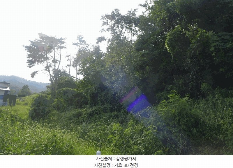 2025타경10556 경상북도 경주시 양남면 환서리 산207 임야 경매 이미지