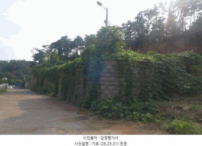 2025타경10556 경상북도 경주시 양남면 환서리 299-8 임야 경매 이미지
