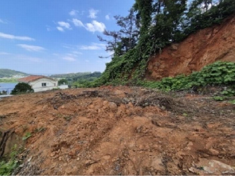 2025타경10556 경상북도 경주시 양남면 환서리 299-8 임야 경매 이미지