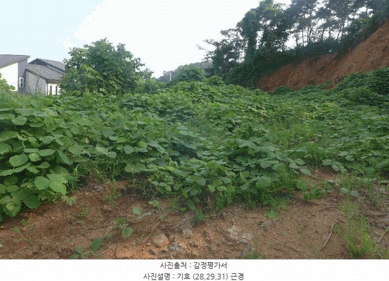 2025타경10556 경상북도 경주시 양남면 환서리 299-7 임야 경매 이미지