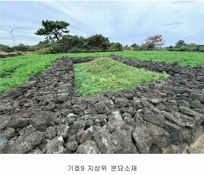 2025타경1789 제주특별자치도 제주시 구좌읍 한동리 1739 임야 경매 이미지