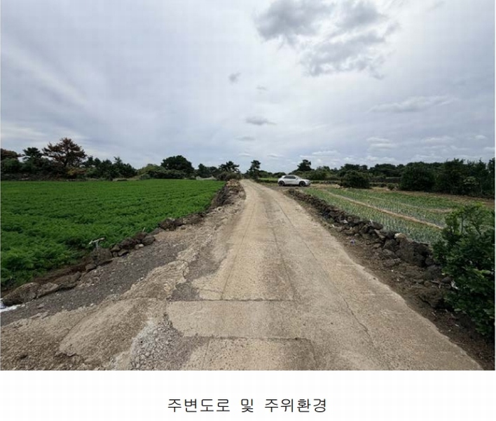 2025타경1789 제주특별자치도 제주시 구좌읍 한동리 1739 임야 경매 이미지
