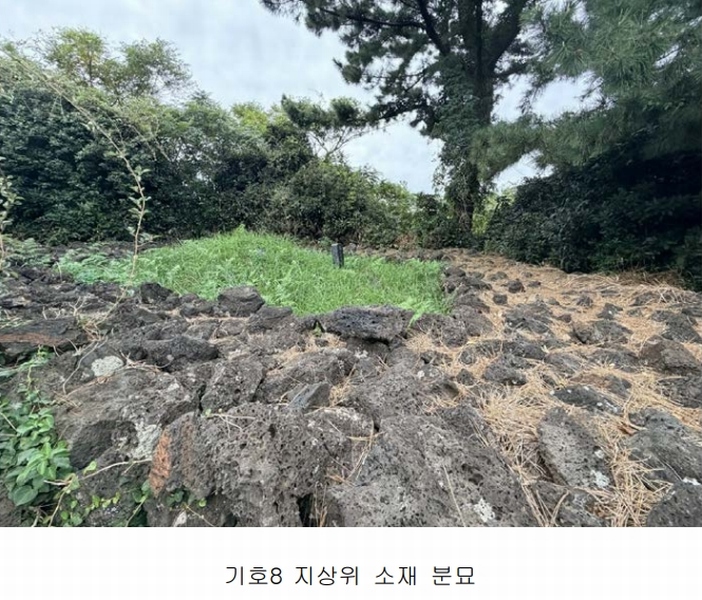 2025타경1789 제주특별자치도 제주시 구좌읍 한동리 1739 임야 경매 이미지