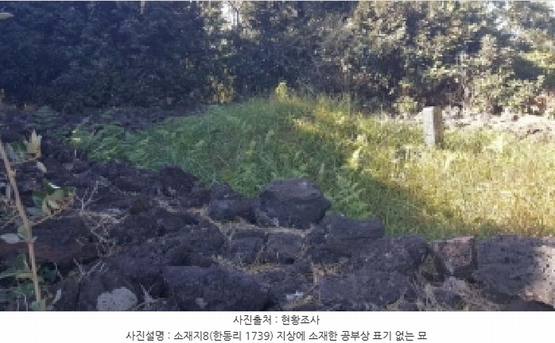 2025타경1789 제주특별자치도 제주시 구좌읍 한동리 1739 임야 경매 이미지