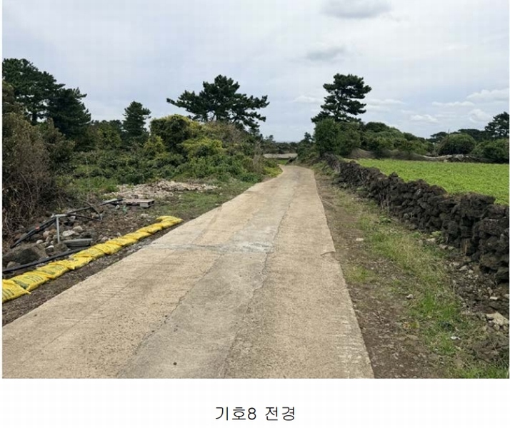 2025타경1789 제주특별자치도 제주시 구좌읍 한동리 1739 임야 경매 이미지
