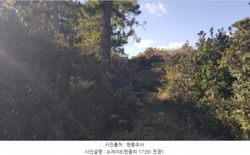 2025타경1789 제주특별자치도 제주시 구좌읍 한동리 1739 임야 경매 이미지