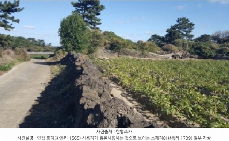 2025타경1789 제주특별자치도 제주시 구좌읍 한동리 1739 임야 경매 이미지