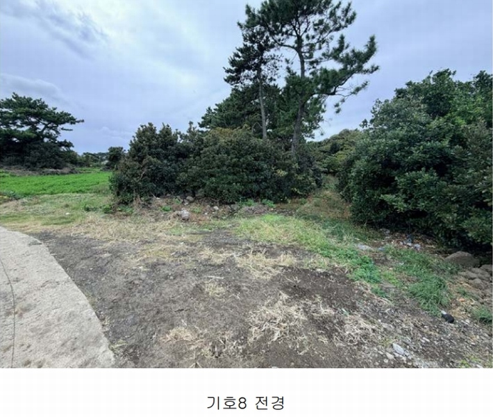 2025타경1789 제주특별자치도 제주시 구좌읍 한동리 1739 임야 경매 이미지