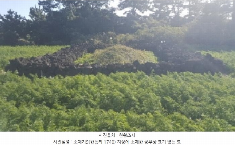2025타경1789 제주특별자치도 제주시 구좌읍 한동리 1739 임야 경매 이미지