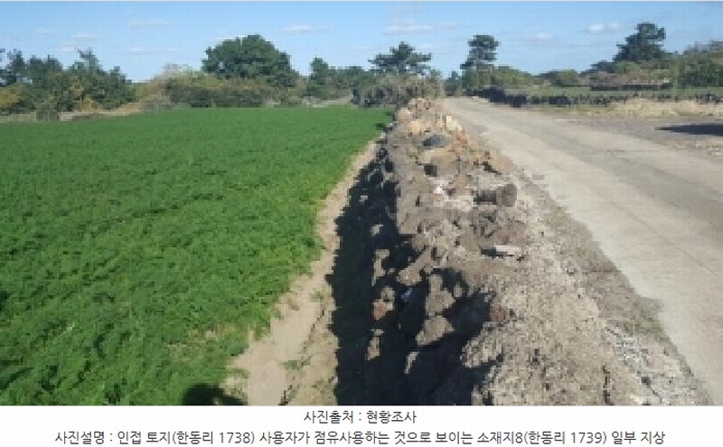2025타경1789 제주특별자치도 제주시 구좌읍 한동리 1739 임야 경매 이미지