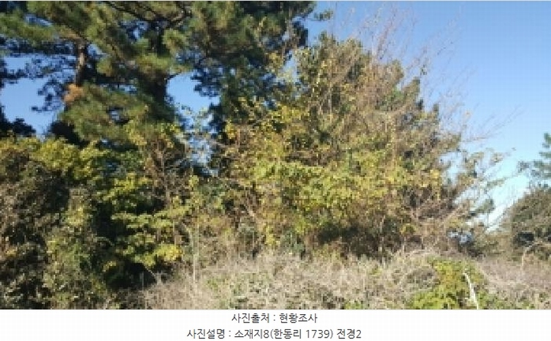 2025타경1789 제주특별자치도 제주시 구좌읍 한동리 1739 임야 경매 이미지