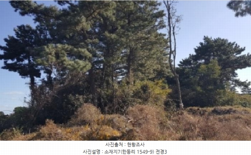 2025타경1789 제주특별자치도 제주시 구좌읍 한동리 1549-9 임야 경매 이미지