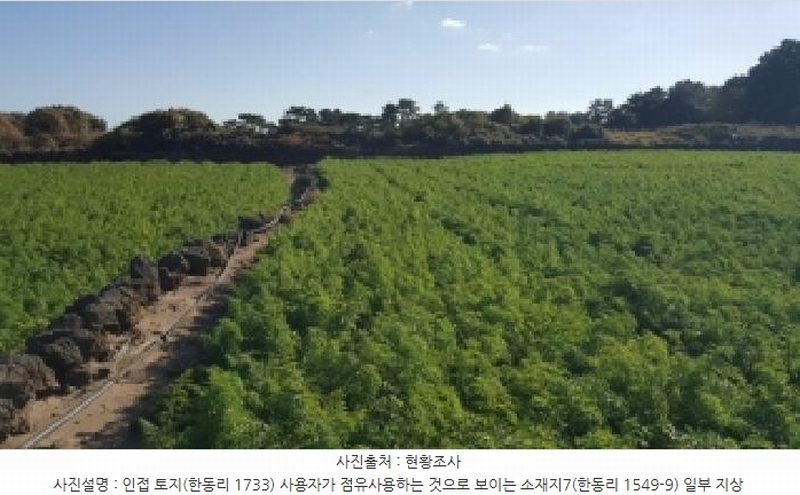 2025타경1789 제주특별자치도 제주시 구좌읍 한동리 1549-9 임야 경매 이미지