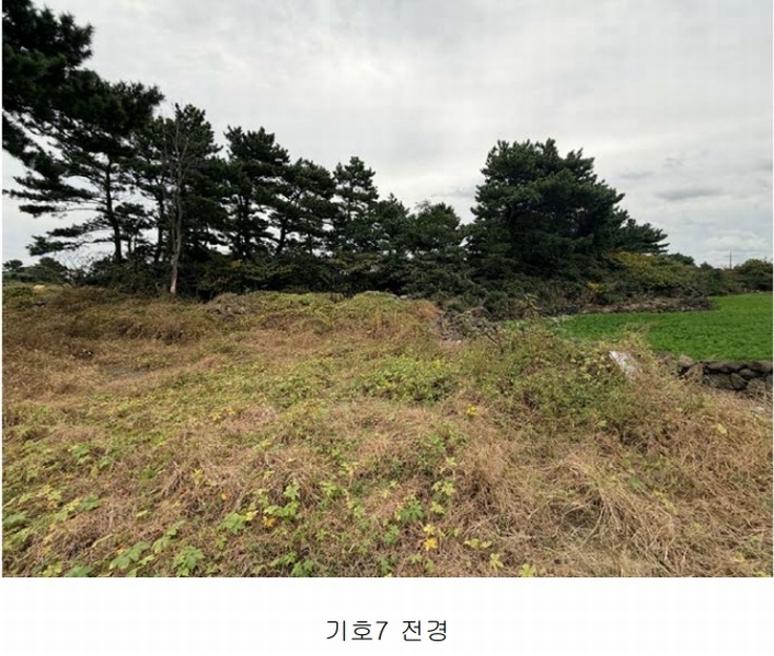 2025타경1789 제주특별자치도 제주시 구좌읍 한동리 1549-9 임야 경매 이미지