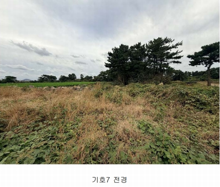 2025타경1789 제주특별자치도 제주시 구좌읍 한동리 1549-9 임야 경매 이미지