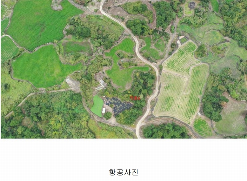 2025타경1789 제주특별자치도 제주시 구좌읍 한동리 1668-1 임야 경매 이미지