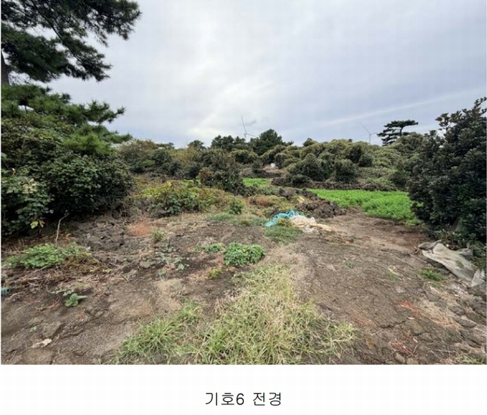 2025타경1789 제주특별자치도 제주시 구좌읍 한동리 1668-1 임야 경매 이미지