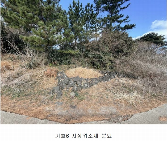 2025타경1789 제주특별자치도 제주시 구좌읍 한동리 1668-1 임야 경매 이미지