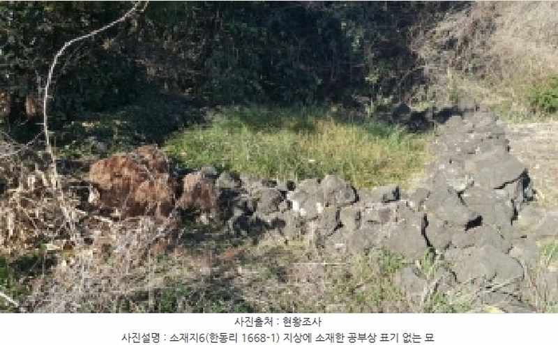 2025타경1789 제주특별자치도 제주시 구좌읍 한동리 1668-1 임야 경매 이미지