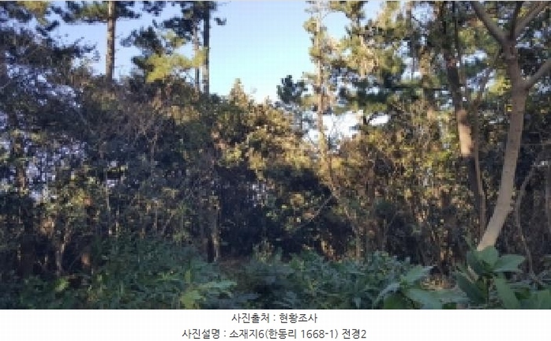 2025타경1789 제주특별자치도 제주시 구좌읍 한동리 1668-1 임야 경매 이미지