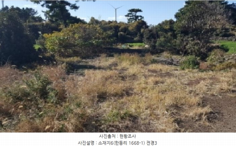 2025타경1789 제주특별자치도 제주시 구좌읍 한동리 1668-1 임야 경매 이미지
