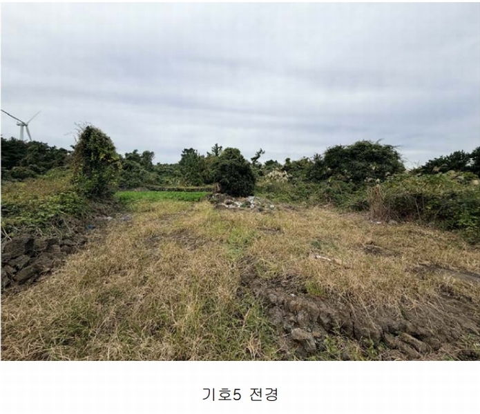 2025타경1789 제주특별자치도 제주시 구좌읍 한동리 1658-1 임야 경매 이미지