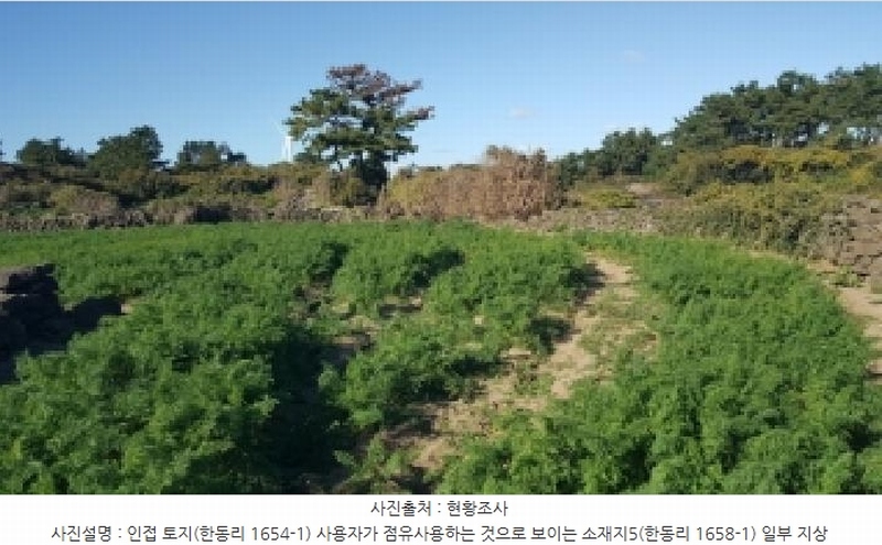 2025타경1789 제주특별자치도 제주시 구좌읍 한동리 1658-1 임야 경매 이미지