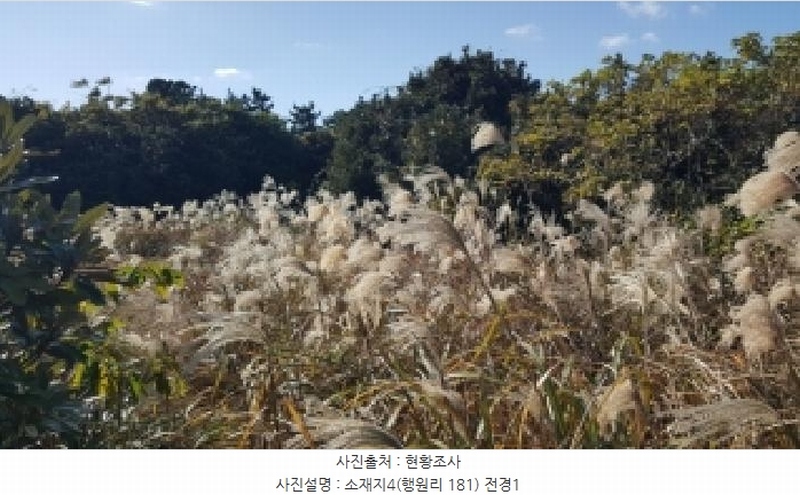 2025타경1789 제주특별자치도 제주시 구좌읍 행원리 181 농지 경매 이미지