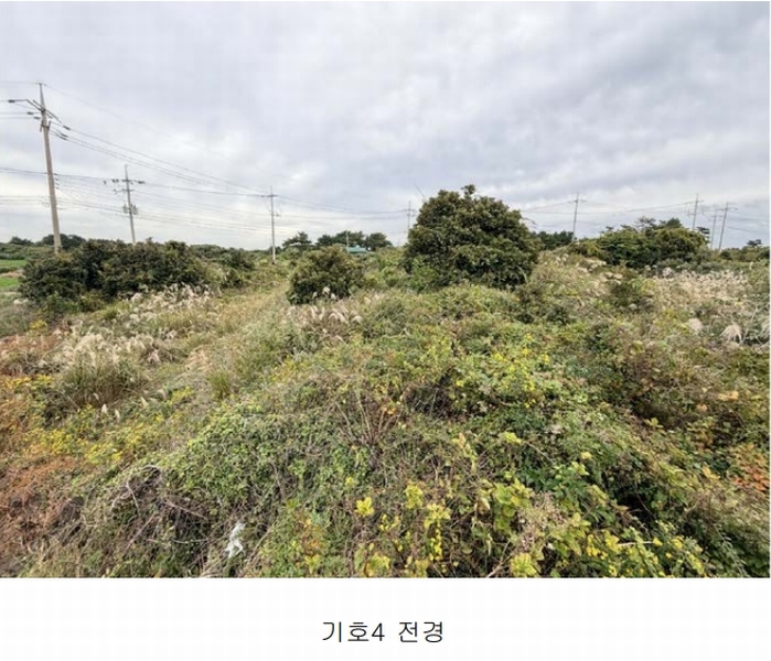 2025타경1789 제주특별자치도 제주시 구좌읍 행원리 181 농지 경매 이미지