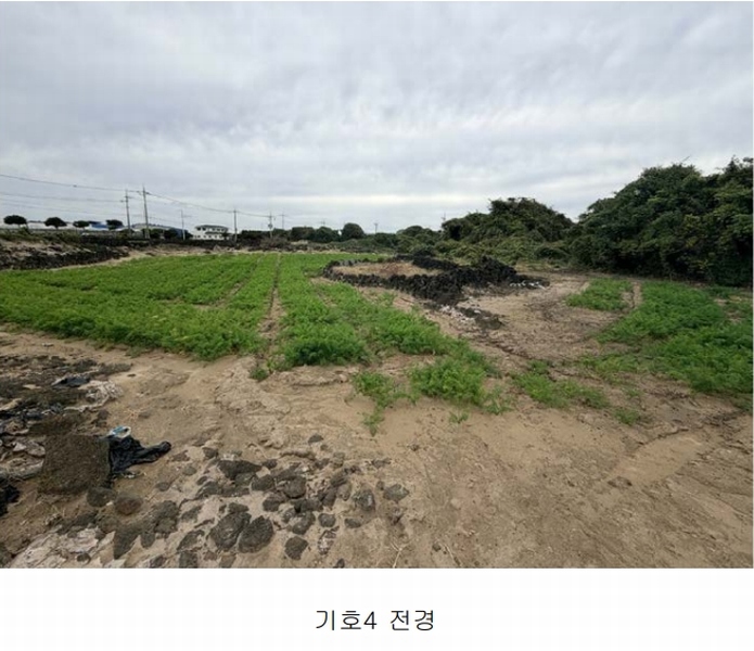 2025타경1789 제주특별자치도 제주시 구좌읍 행원리 181 농지 경매 이미지