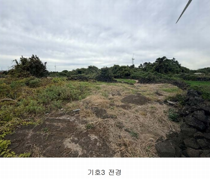 2025타경1789 제주특별자치도 제주시 구좌읍 행원리 174 농지 경매 이미지